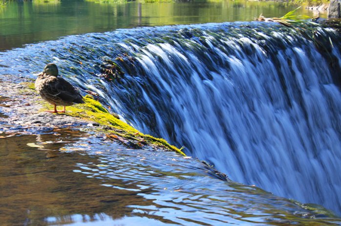 The waterfall in Wisła